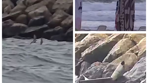 IMAGINI cu fragmentul dintr-o dronă care a plutit astăzi pe mare, la Costinești! &Icirc;n urma verificărilor, s-a stabilit că NU prezintă risc pirotehnic. Acesta a fost predat Gărzii de Coastă
