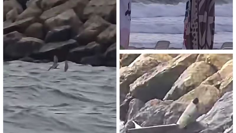 IMAGINI cu fragmentul dintr-o dronă care a plutit astăzi pe mare, la Costinești! &Icirc;n urma verificărilor, s-a stabilit că NU prezintă risc pirotehnic. Acesta a fost predat Gărzii de Coastă