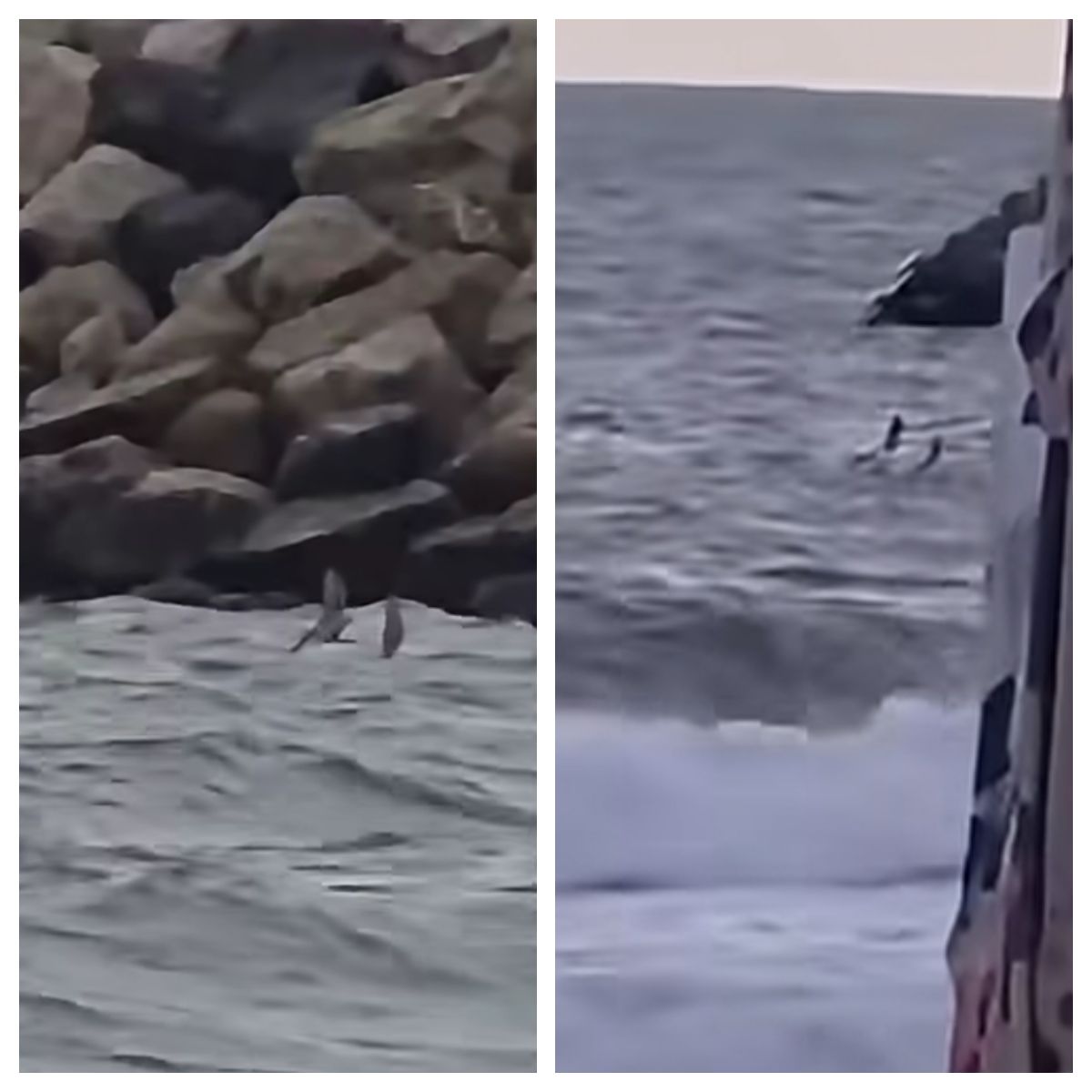 &Icirc;ncă o dronă a fost descoperită la Costinești 
