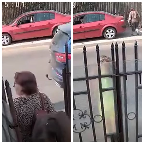 A MURIT fetița lovită de mașină &icirc;n Alexandria! Marina s-a luptat zile &icirc;ntregi pentru viața ei, după ce a fost spulberată sub privirile asistentei maternale de un șofer care circula cu viteză