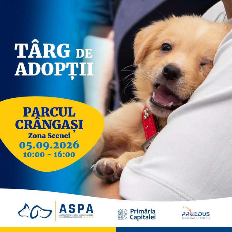 Lista evenimentelor care au loc în primul weekend de toamnă