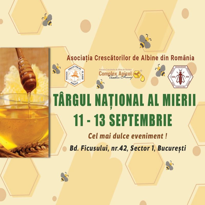 Evenimentele care au loc în weekend în București 