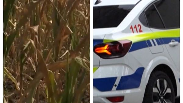 AU FOST IDENTIFICATE cele două femei găsite fără viață &icirc;ntr-un lan de porumb din raionul Rezina. Presupusul criminal A FOST REȚINUT. Motivul pentru care a fost lăsat &icirc;n libertate, deși una dintre victime depusese o pl&acirc;ngere &Icirc;NAINTE DE TRAGEDIE: "Le-a..."