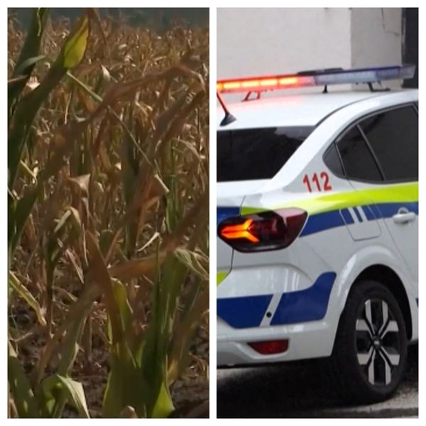 AU FOST IDENTIFICATE cele două femei găsite fără viață &icirc;ntr-un lan de porumb din raionul Rezina. Presupusul criminal A FOST REȚINUT. Motivul pentru care a fost lăsat &icirc;n libertate, deși una dintre victime depusese o pl&acirc;ngere &Icirc;NAINTE DE TRAGEDIE: "Le-a..."