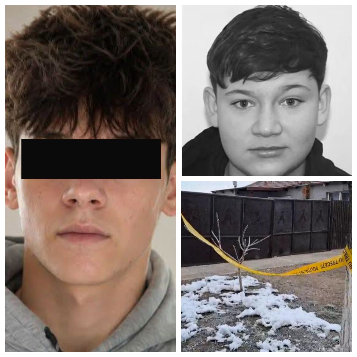Declarațiile făcute de mama unuia dintre adolescenții implicați &icirc;n cazul crimei din Cenei 