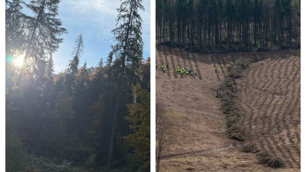 Ce s-a &icirc;nt&acirc;mplat, de fapt, cu pădurarul găsit mort &icirc;ntr-un complex de v&acirc;nătoare din Maramureș?! ULTIMELE ORE &Icirc;NAINTEA TRAGEDIEI: "&Icirc;n aceste momente dificile suntem..."
