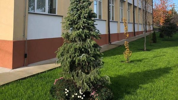 DOLIU &icirc;n Cristinești, după moartea lui Gheorghe Jitariu, fost profesor al Școlii Gimnaziale &bdquo;Ioan Murariu&rdquo;. Numele dascălului este legat, de acum, de AMINTIREA UNEI DESPĂRȚIRI DUREROASE: "Cu inimile &icirc;ndurerate, suntem..."