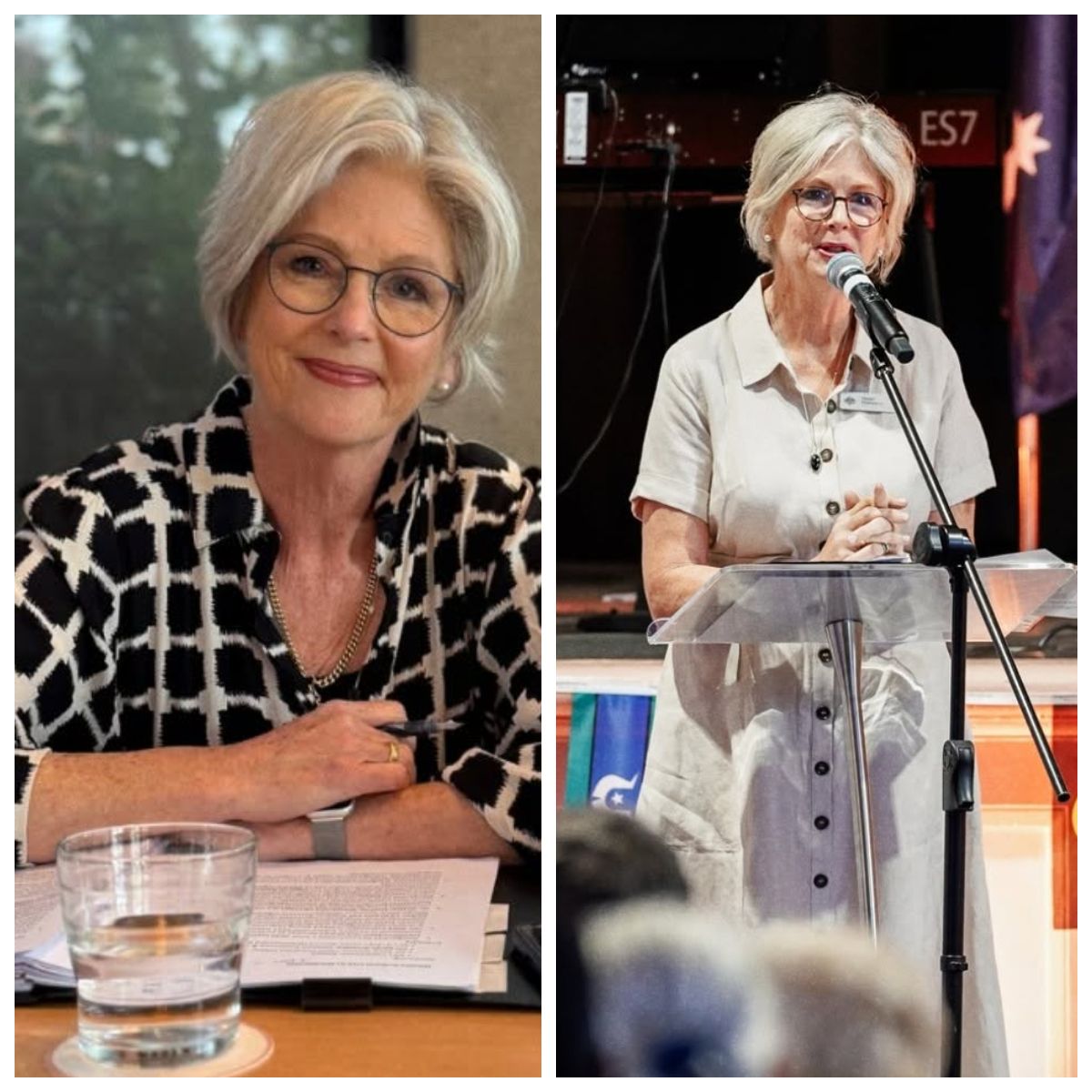 Noi detalii &icirc;n cazul lui Helen Haines 