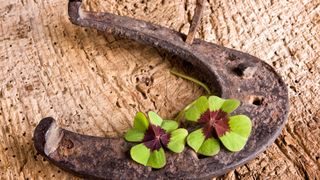 Trei zodii care au noroc între 15 și 21 decembrie