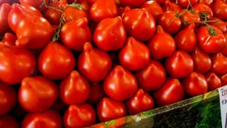 Primele roșii rom&acirc;nești din 2026, v&acirc;ndute la prețuri record. C&acirc;t vor plăti rom&acirc;nii pentru un kilogram de tomate