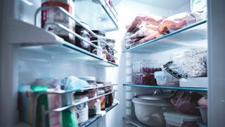 Cum &icirc;și păstrau rom&acirc;nii alimentele reci &icirc;nainte de comunism: Povestea primelor frigidere din țară