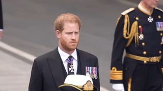 Prințul Harry revine sub protecție armată &icirc;n UK. Ce a făcut pentru a convinge autoritățile