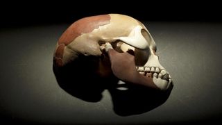 Horoscopul lui Dom&rsquo; Profesor,&nbsp; 3 aprilie 2026. Craniul Piltdown