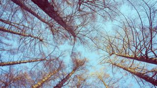 Prognoza meteo, 5 decembrie. Final de săptămână cu vreme de plimbări. Ploile slabe apar pe alocuri