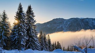 Cum va fi vremea de Crăciun. Prognoza actualizată de ANM pe regiuni