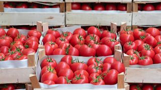 Roșiile rom&acirc;nești devin un lux. Prețuri de p&acirc;nă la 100 de lei pe kilogram și un efect &icirc;n lanț care lovește piața alimentară