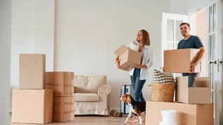 Purificatoare naturale din mitologia NASA și taxa pe confort din apartamentele moderne