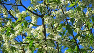 Vremea &icirc;n martie. Temperaturile vor depăși 20 de grade doar &icirc;n trei orașe