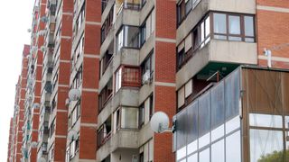 Nimeni nu se aștepta să &icirc;l vadă &icirc;ntr-un apartament. Acum a devenit atracția cartierului