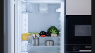 Cum dezgheți cel mai rapid frigiderul. Metode eficiente, inclusiv pentru modele No Frost