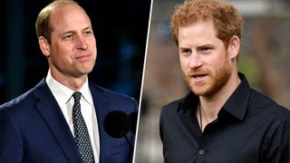 Harry, tot mai departe de o &icirc;mpăcare cu fratele său. William ar fi lipsit &icirc;n mod intenționat de la &icirc;nt&acirc;lnirea recentă