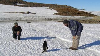 Horoscopul lui Dom&rsquo; Profesor,&nbsp; 7 septembrie 2026. Microbii din Antarctica