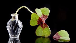 Patru zodii și o zi cu surprize neprogramate. Au parte de provocări &icirc;n loc de noroc