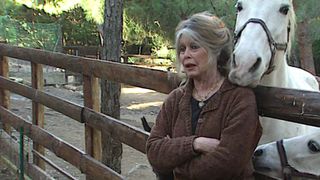 Boala care a răpus-o pe Briggite Bardot. Dezvăluirile făcute de soțul ei, Bernard d&rsquo;Ormale