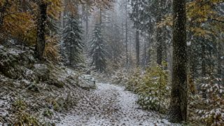 Orașul din Rom&acirc;nia &icirc;n care frigul vine mai devreme. Primele fulguieli sunt așteptate &icirc;n septembrie