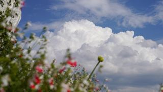 Rom&acirc;nia, lovită de furtuni chiar de Ziua Copilului. Zonele afectate de vremea severă