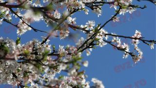 Se știe c&acirc;nd vine primăvara. Prognoza pe termen lung de la ANM dă speranță