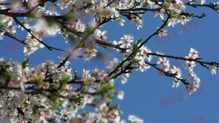 Cum va fi vremea &icirc;n luna martie. Prognoza surprinzătoare a ANM pentru următoarele patru săptăm&acirc;ni