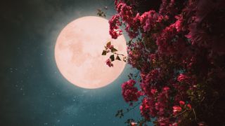 Luna Plină din Vărsător deschide un nou capitol pentru cinci zodii. Astrologii explică de ce această perioadă este diferită.