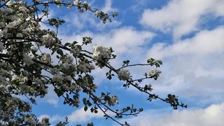 Vreme capricioasă &icirc;n Rom&acirc;nia. ANM anunță c&acirc;nd vor crește temperaturile