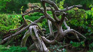 Weekend periculos pentru trei zodii. Eclipsele lovesc din nou