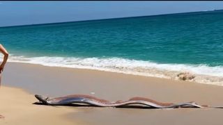 Turiștii, speriați de &bdquo;peștii Apocalipsei&rdquo;. Două exemplare uriașe de pește-panglică, descoperite pe o plajă din Mexic