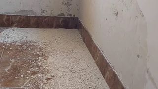 Testul care &icirc;ți arată dacă ai umezeală &icirc;n pereți. Te scapă de reparații costisitoare