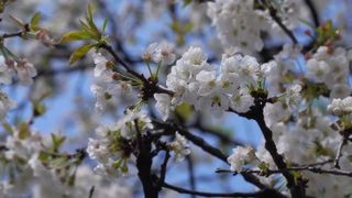 Horoscopul lui Dom&rsquo; Profesor,&nbsp; 22 ianuarie 2026. Despre speranță