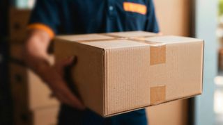 Un pachet livrat de Temu a venit &icirc;mpreună cu o surpriză nedorită. &Icirc;nt&acirc;mplarea a devenit virală