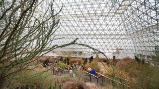 Experimentul Biosphere, doi ani &icirc;ntr-o lume artificială care aproape a scăpat de sub control