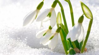 Zăpadă &icirc;n mai. Zonele din Rom&acirc;nia unde iarna nu se dă dusă