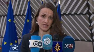 Adevărul din lege despre cazul Irinei Ponta. Ce obligații aveau misiunile diplomatice