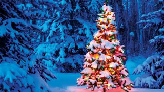 Horoscopul lui Dom' Profesor, 16 decembrie 2025. Probleme de familie