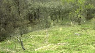 Frumoase și periculoase. Cum descriu legendele populare &icirc;nt&acirc;lnirea cu ielele