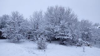 Horoscopul lui Dom&rsquo; Profesor,&nbsp; 27 februarie 2026. Sf&acirc;rșit de februarie