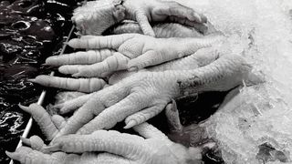 M&acirc;ncărurile bizare din Epoca de Aur: Ce produse de o calitate &icirc;ndoielnică erau nevoiți rom&acirc;nii să consume &icirc;nainte de 1989