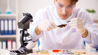 Cercetările fără scop aparent au dus la unele dintre cele mai importante descoperiri moderne