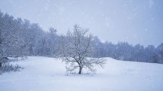 Vreme nebună &icirc;n Rom&acirc;nia. Ger și ninsori, dar și temperaturi de primăvară. C&acirc;nd vine gerul năprasnic