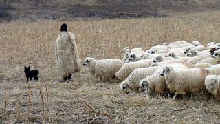 Dumitru, ciobanul care a ajuns să dețină acțiuni la marile bănci ale Europei, &icirc;n timp ce dormea &icirc;n cojoc pe munte