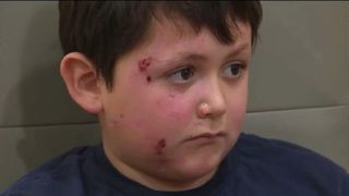 O nouă provocare periculoasă pe TikTok. Aveți grijă la copii și cuptorul cu microunde!